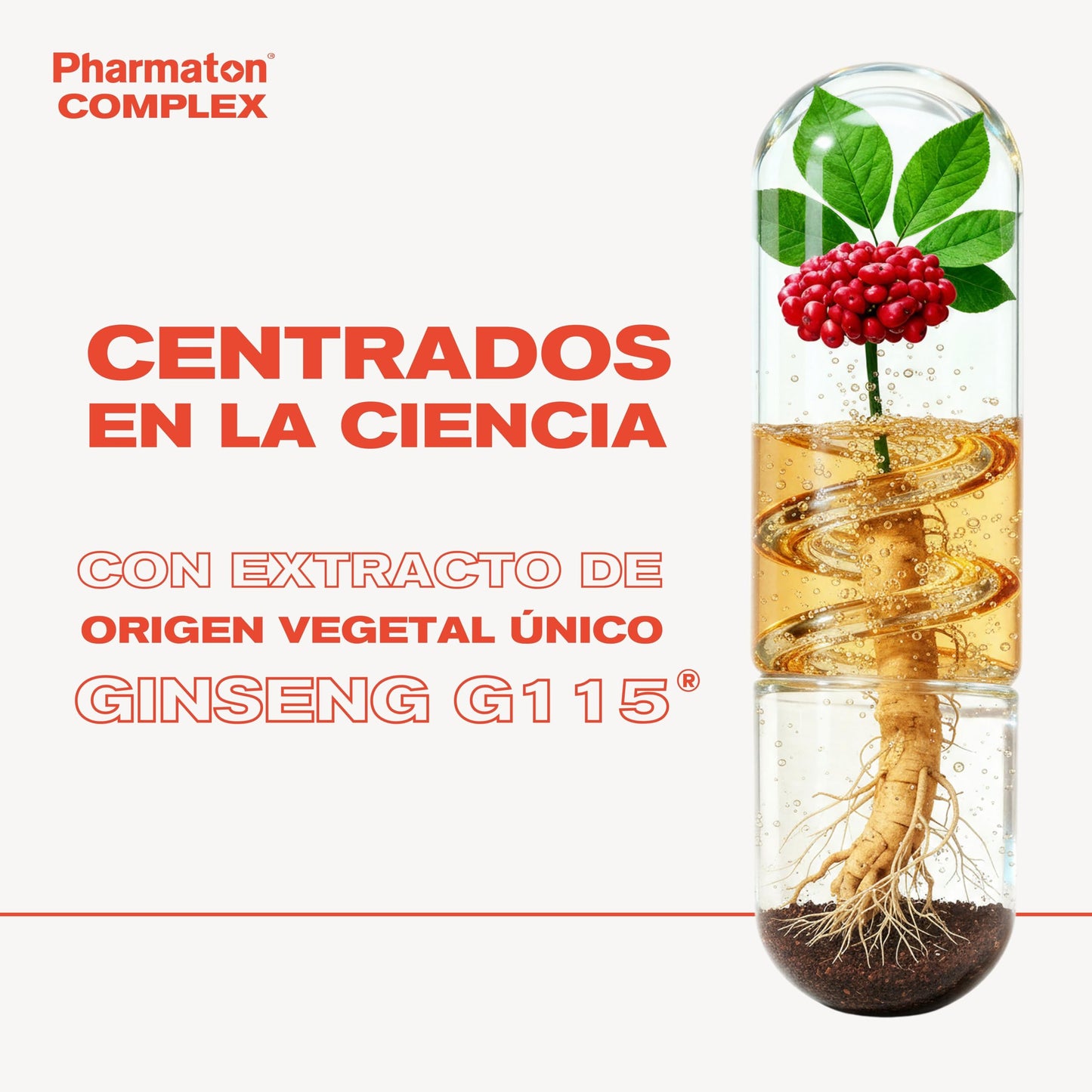 Pharmaton Complex - Multivitamínico con Ginseng G115-100 Comprimidos - Energía Física y Mental - Vitaminas para el cansancio